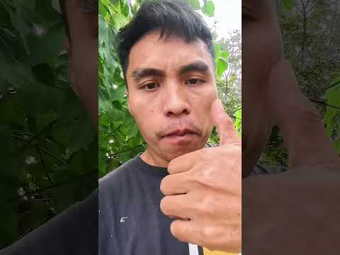BUKO